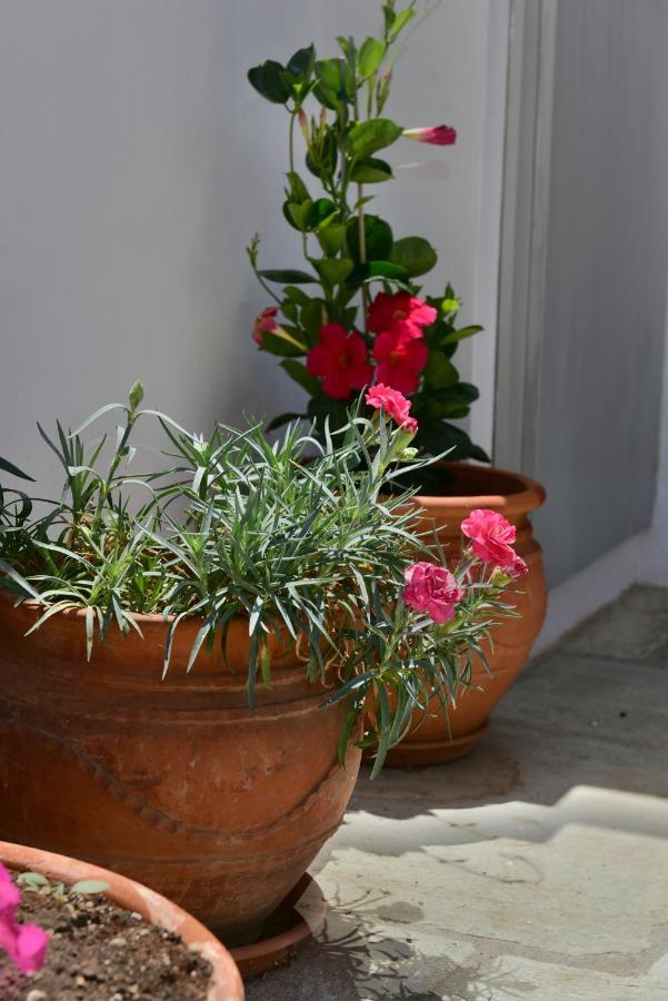 Feel At Home - Family House In Hydra Екстер'єр фото